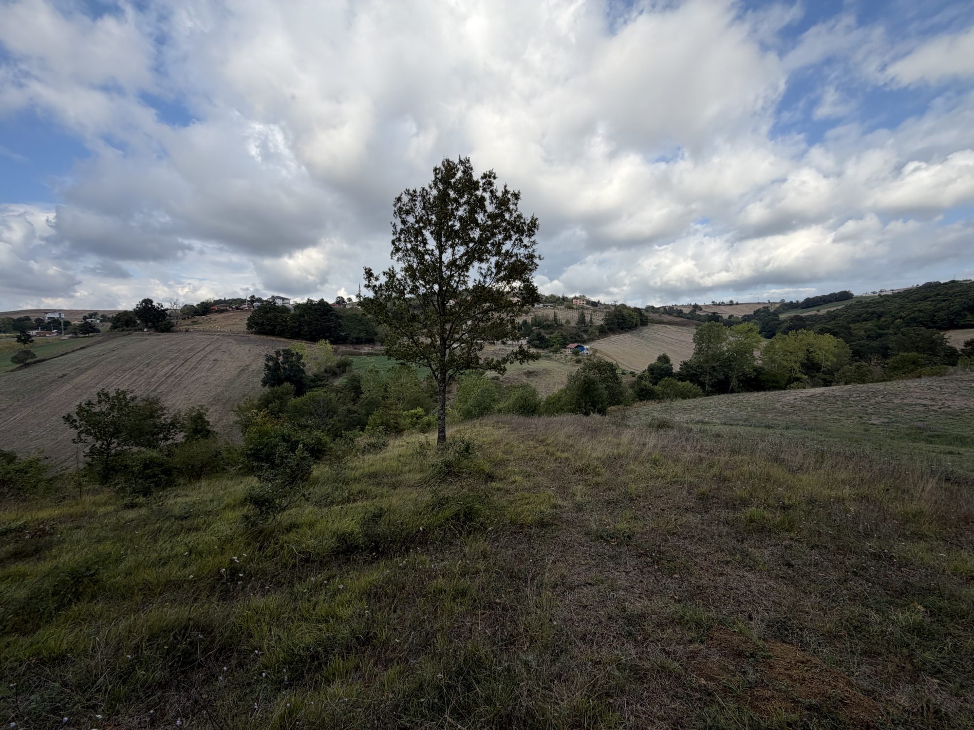 Kocaeli-Derince-Geredeli 2376m2 Resmi Yolu Mevcut Satılık Tarla