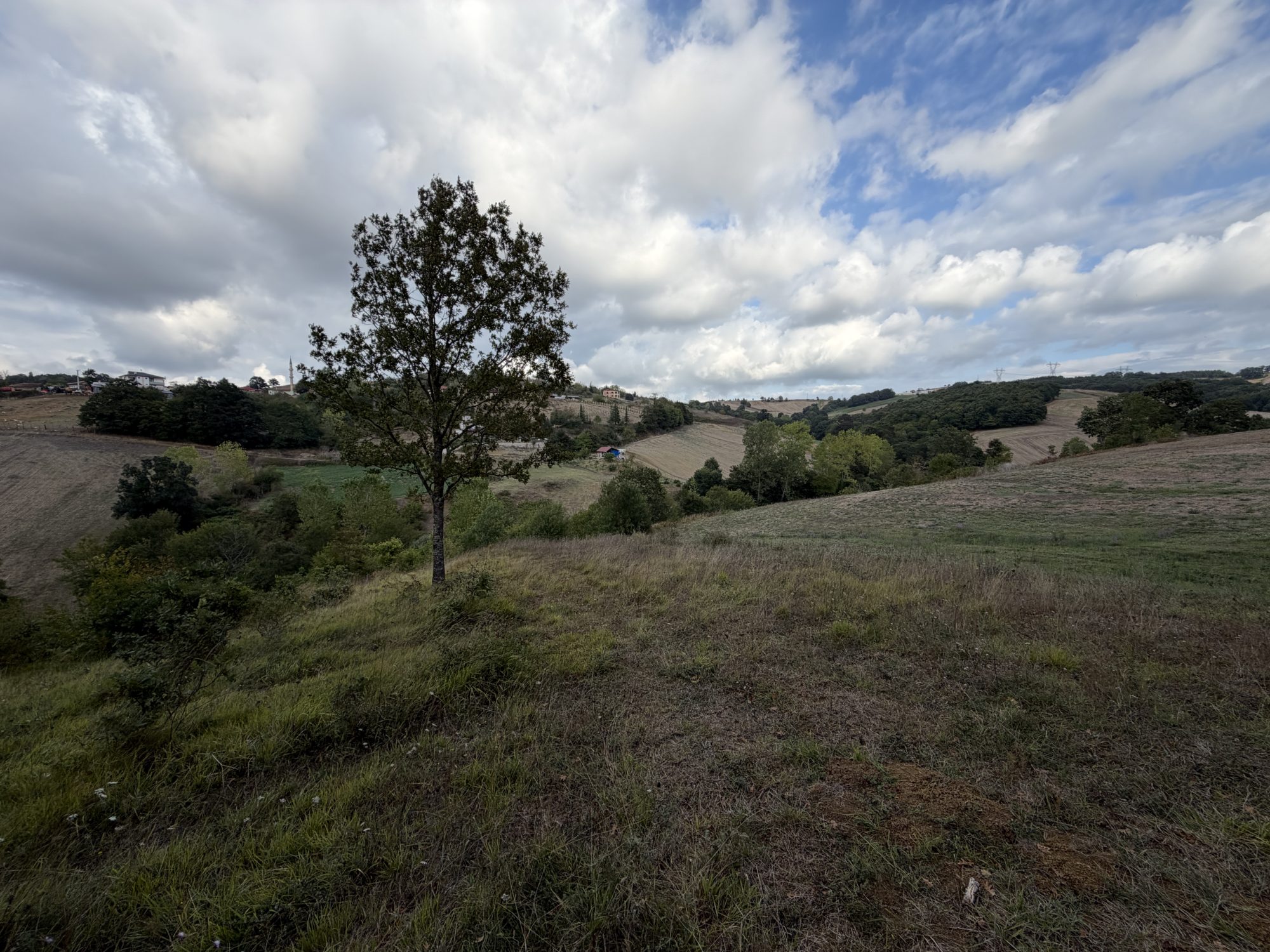Kocaeli-Derince-Geredeli 2376m2 Resmi Yolu Mevcut Satılık Tarla – fotoğraf 7