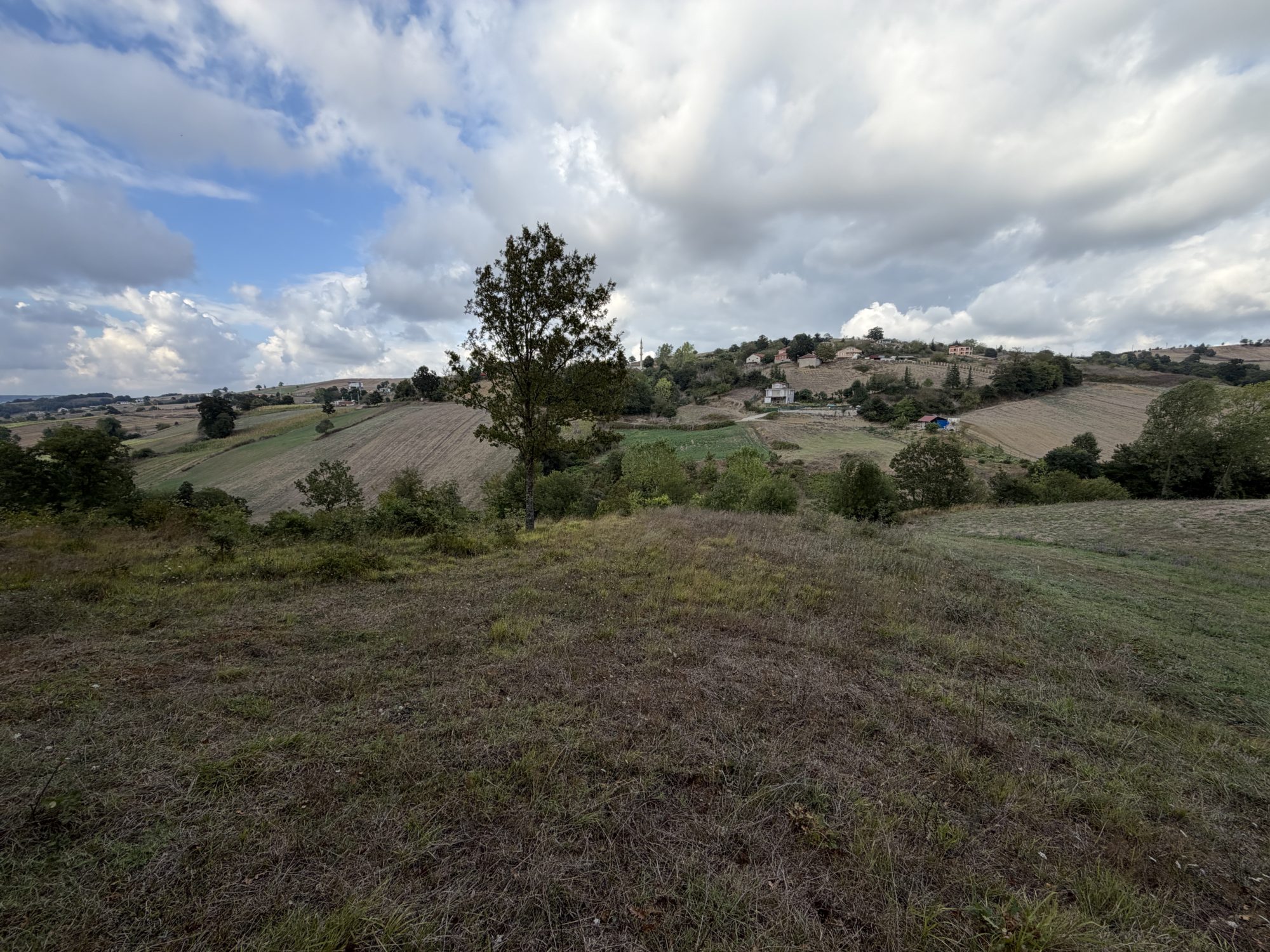 Kocaeli-Derince-Geredeli 2376m2 Resmi Yolu Mevcut Satılık Tarla – fotoğraf 8